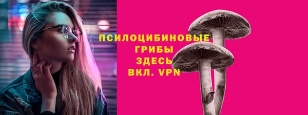 амф Белоозёрский