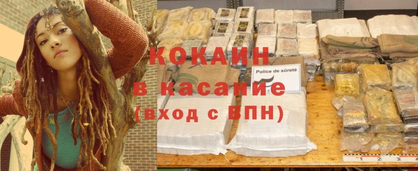 ПСИЛОЦИБИНОВЫЕ ГРИБЫ Белокуриха