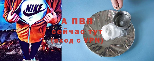 гашиш Богданович