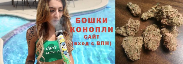 ПСИЛОЦИБИНОВЫЕ ГРИБЫ Белокуриха