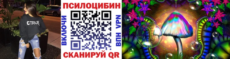 Псилоцибиновые грибы Psilocybine cubensis  Томск 